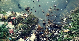 The-amount-of-pollution-in-our-ocean-waters-is-alarming_-1